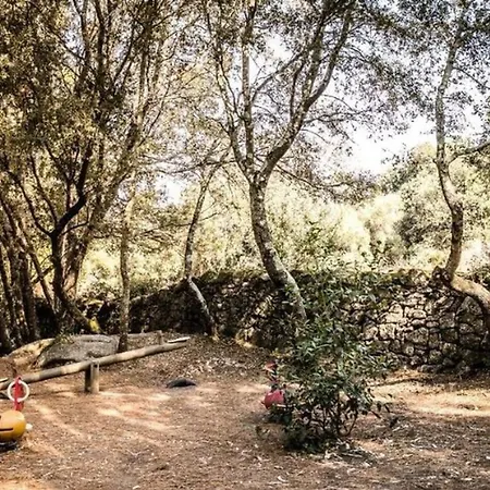Camping Tente Pour 8 Avec Terrasse à - Api-1-52-1656 *