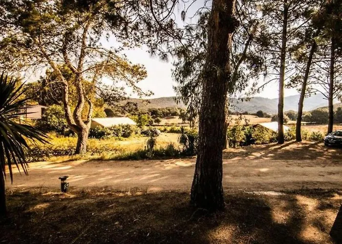 Camping Tente Pour 8 Avec Terrasse à - Api-1-52-1656 *